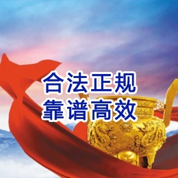 九合垸原种场讨账公司