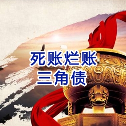九合垸原种场要债公司
